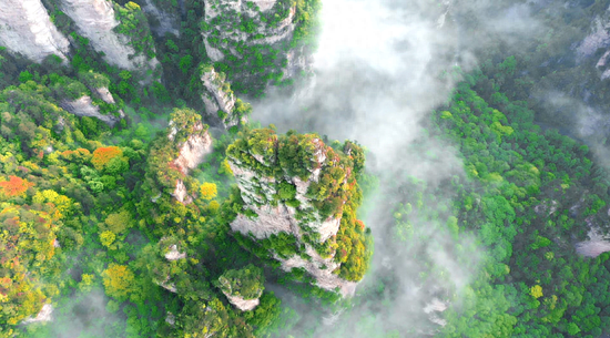 雨润峰林暖人心！张家界国家森林公园以“小服务”守护旅途温度