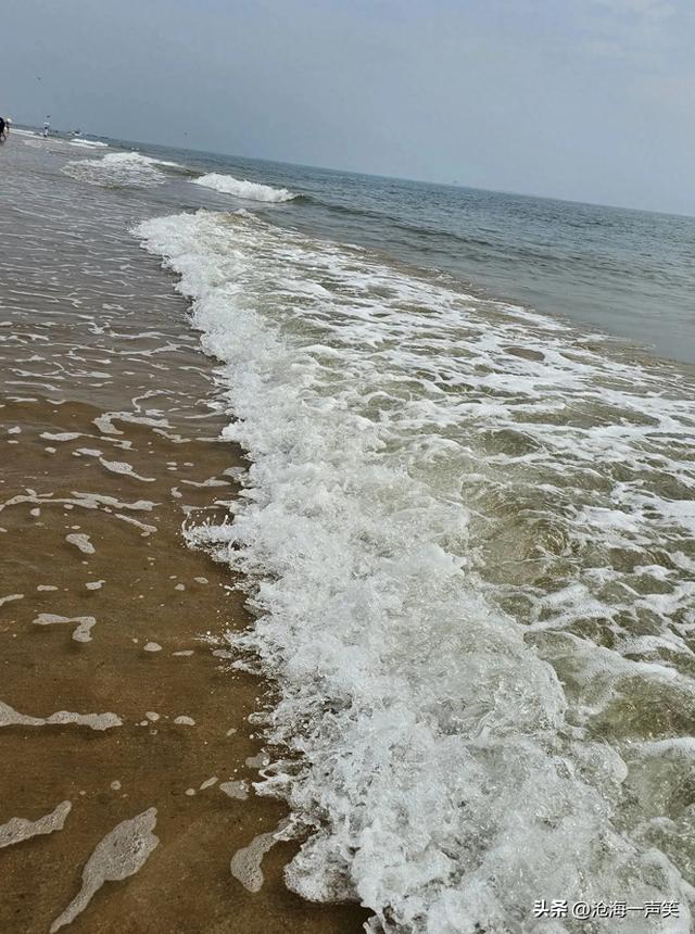 君不见海水从何来，来自山川，来自平原，来自小溪，来自天空