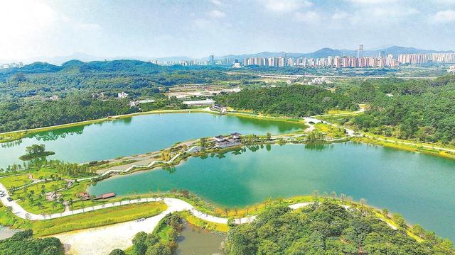 黄埔：“黄埔云帆”掀热潮 共赴千年海丝之约