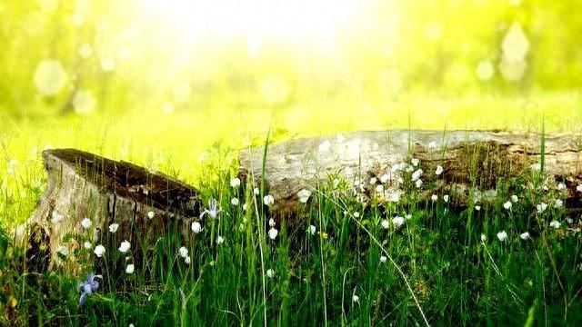 1月5号，星期一，生肖猪	，即将喜从天降