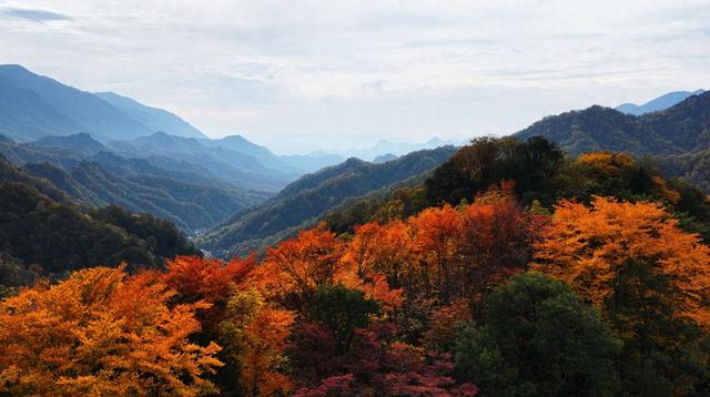央视新闻栏目连续报道化龙山镇坪县区域深秋美景