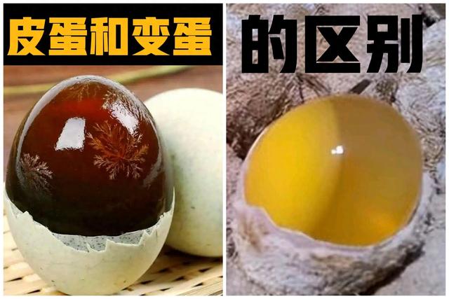 变蛋和皮蛋的区别（皮蛋和变蛋的区别）