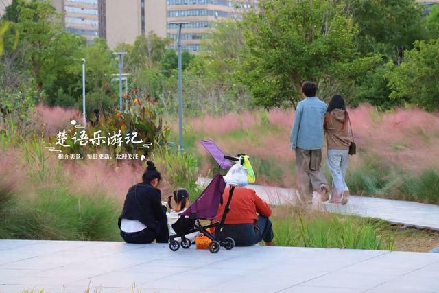 宁波镇海又发现一处粉黛园，临湖而居景色更秀丽，周边美景更多