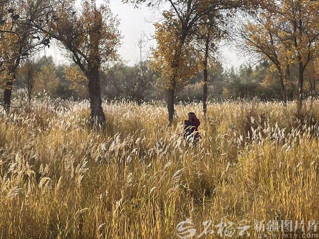 83岁老人随子自驾新疆：美景醉人 人情更暖