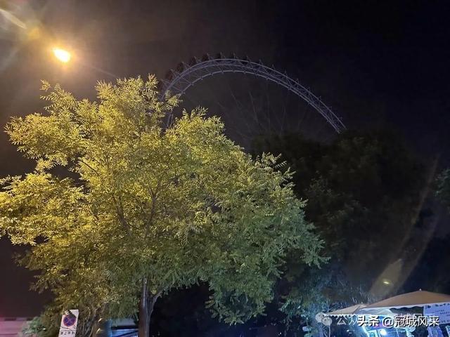 天津游记·海河游船