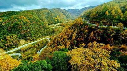 为有秋色赋人间