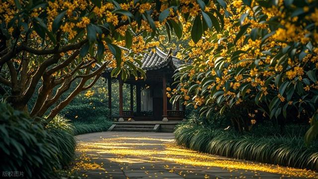 家门口的公园