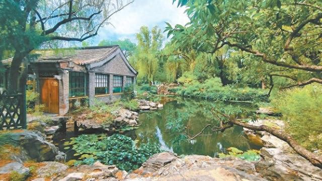 558处自然带庇护着野生动植物 也是市民了解自然的窗口——城中留野趣 身边探自然