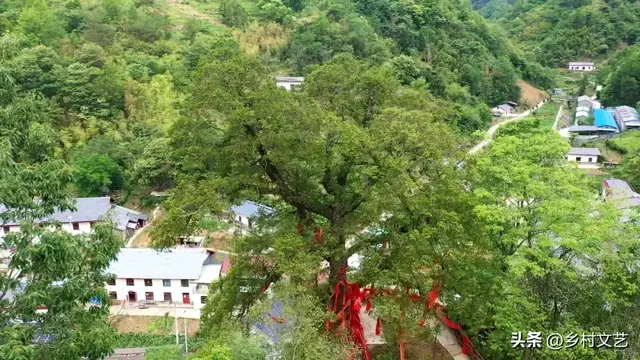 曾家镇印象