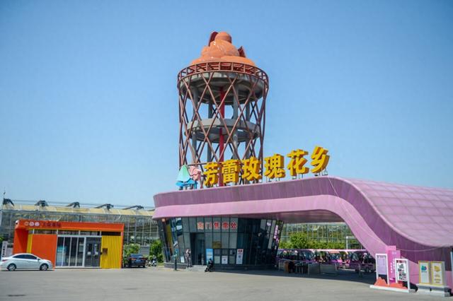 国庆游济南，这5条休闲又惬意的自驾线路太好玩，走起！