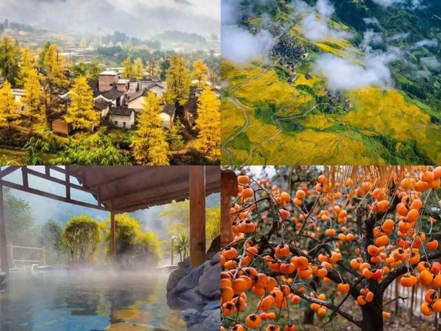 2025年“八桂西游记”广西旅游攻略大赛（夏季）获奖名单揭晓！