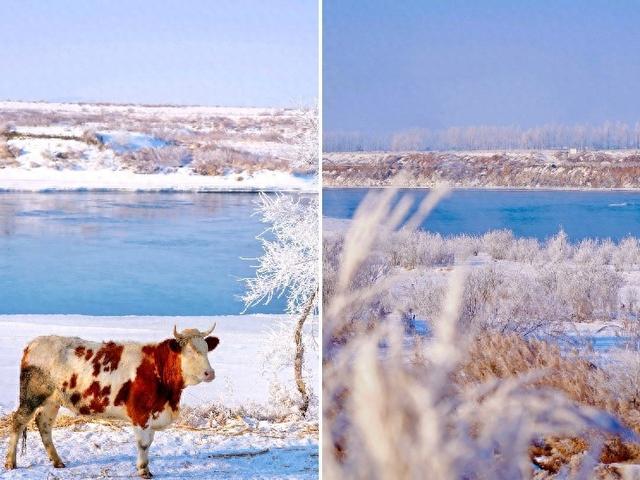 省内热、周边暖！ 吉林“雪假”催热冰雪游， 美团旅行：蛟河、敦化等县域目的地表现亮眼