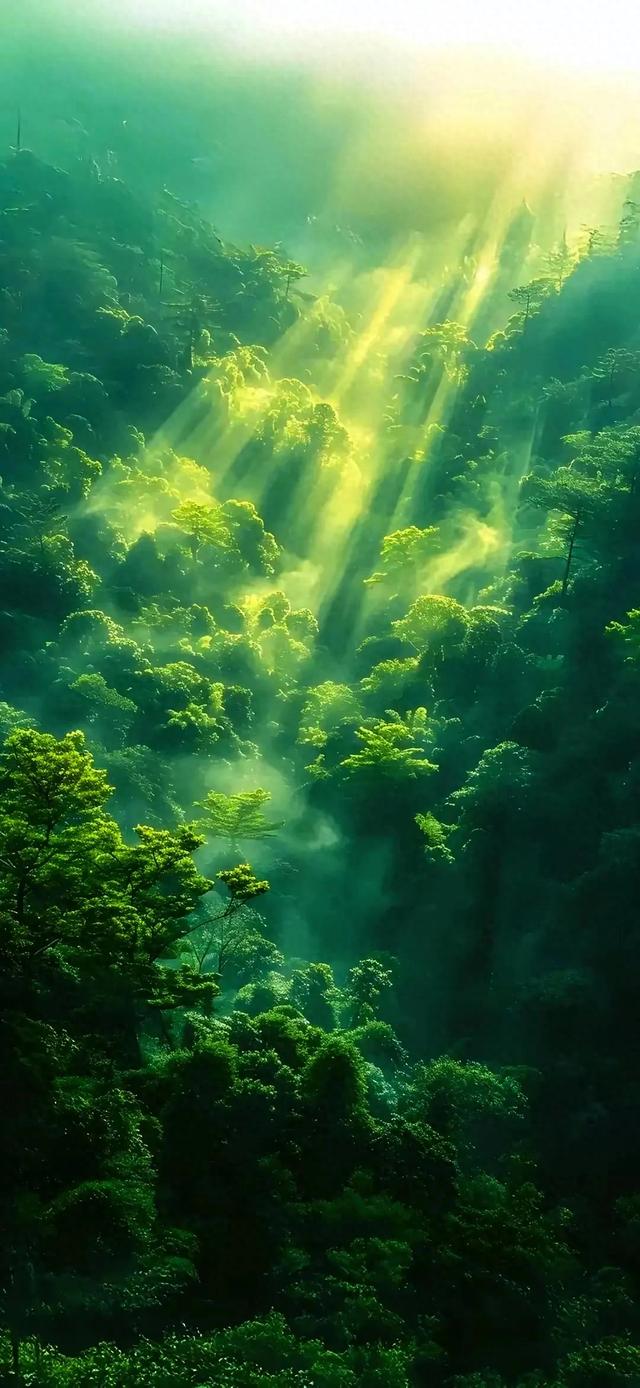 手机壁纸精美图片（141）