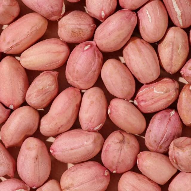 11月6日花生价格新出炉！主产区涨跌分化 ，买卖双方必看指南