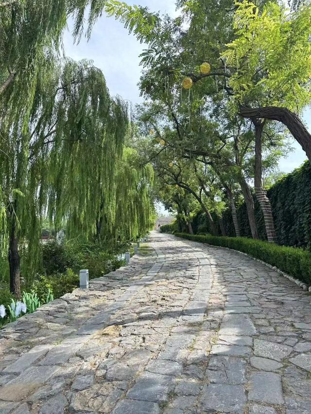 开学倒计时！距济南市区1h车程的悠悠古村，一年当中最舒服的季节来啦！