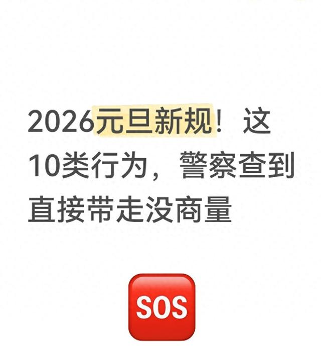 2026元旦新规！这10类行为	，警察查到直接带走没商量