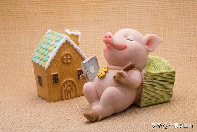 属猪人1月16号迎两喜！都是你应得的