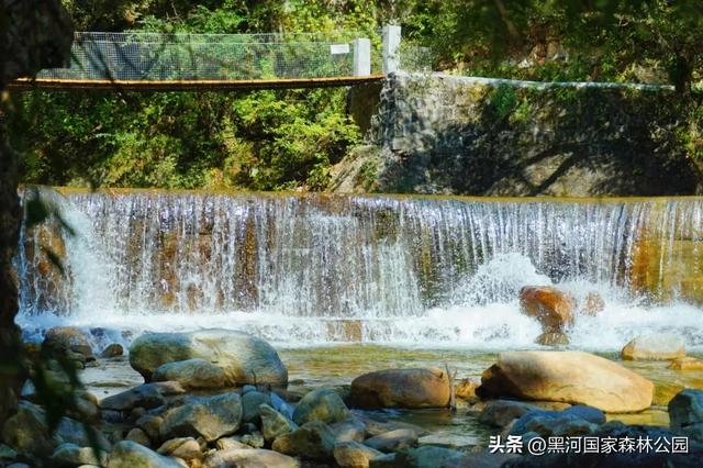 秋天的第一场旅行，在黑河给你安排！