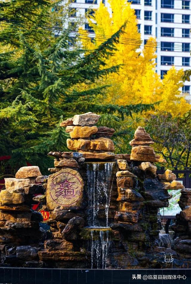 初冬时节，回眸临夏最后一抹绚烂