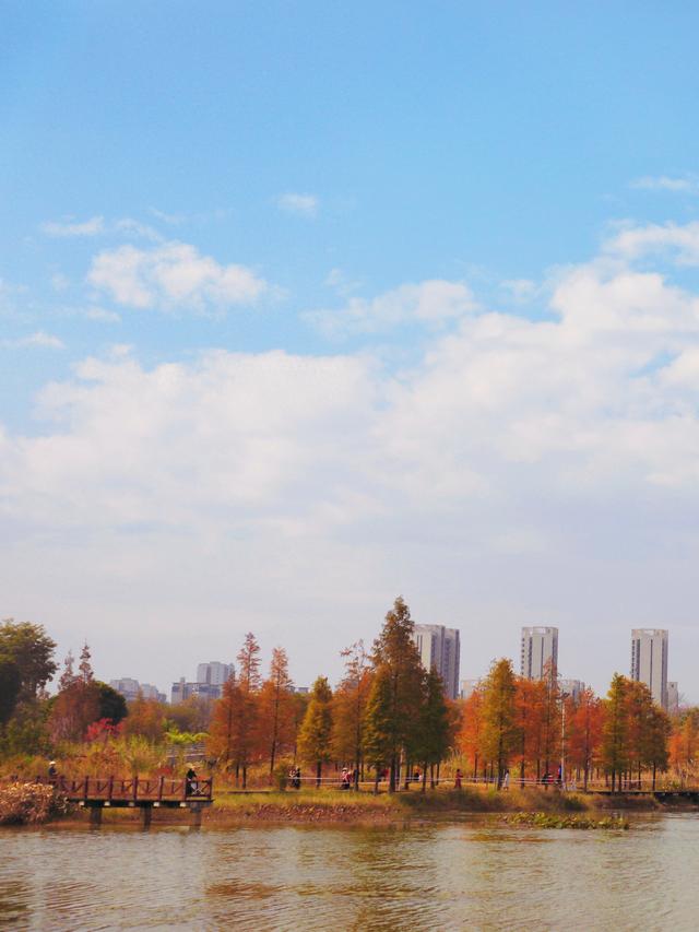 到柳东龙湖，走进一季的“黄橙红绿”→