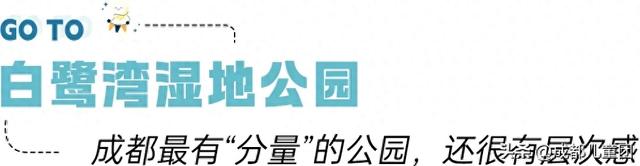 成都5个宝藏公园，有湖有草坪有森林