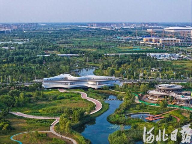 从一片红叶，看雄安生态成色