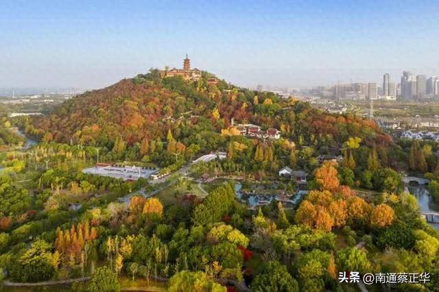 进入最佳观赏期，南通人速去打卡→