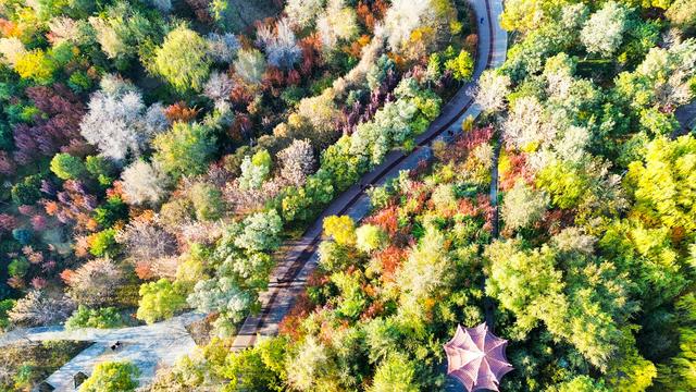 组图丨武威 ：城市公园秋景如画
