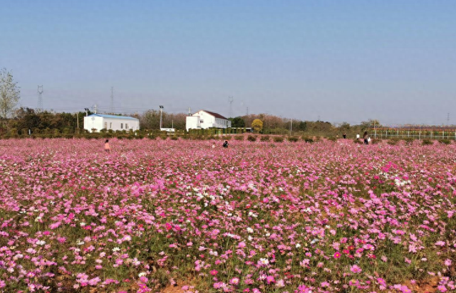 安徽东至：废弃矿山变身休闲乐园