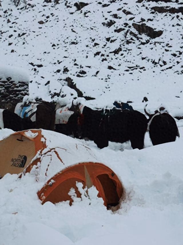 珠峰暴雪致游客被困，领队回忆：5000多米海拔营地彻夜扫雪，历经数十小时平安出山