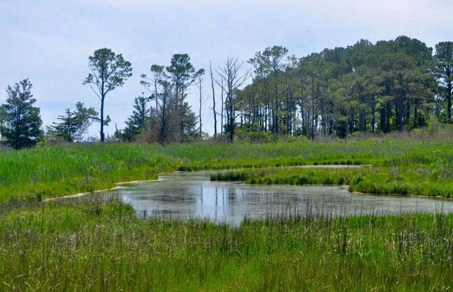 昆明最美湿地公园,坐地铁直达,适合溜娃,门票免费
