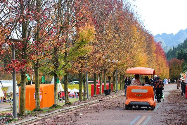 阳光谷旅游度假区：“枫”华正茂 邂逅秋日浪漫