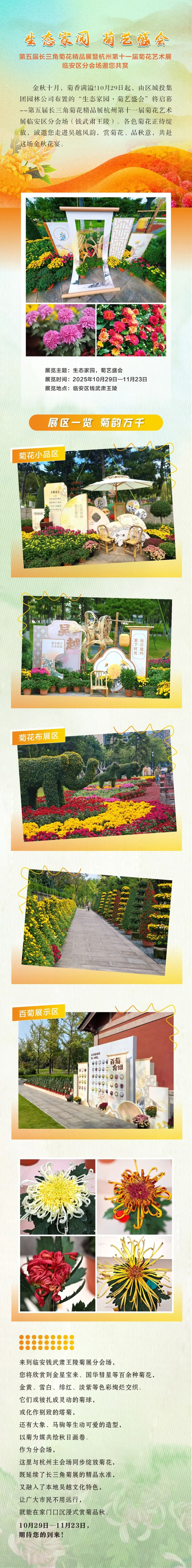 秋日限定！邀您一起在临安赏菊啦~