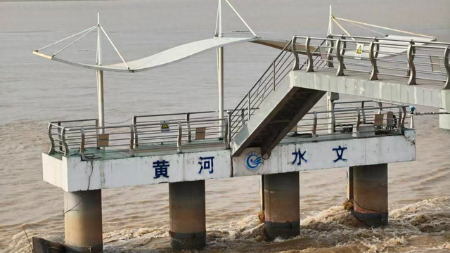 生态露营+植物研学，东明黄河湿地还有哪些打开方式？