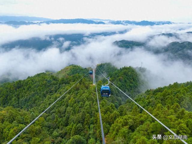 开票即售罄！雪峰山索道火爆出圈