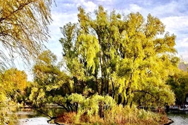 父母在人生尚有来处，父母去人生只剩归途。读懂这句话，需要多久