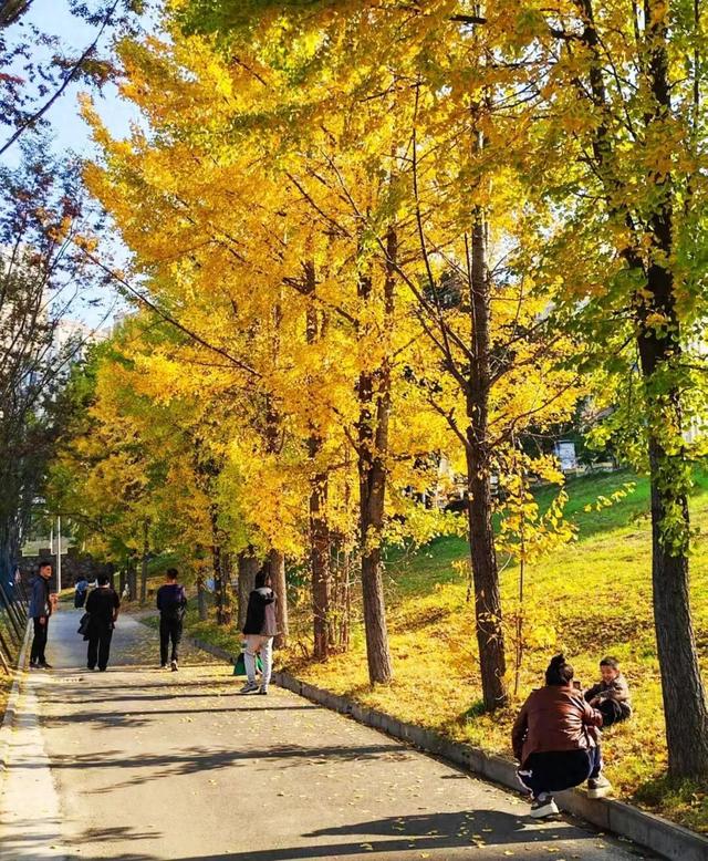 公安，等你入画