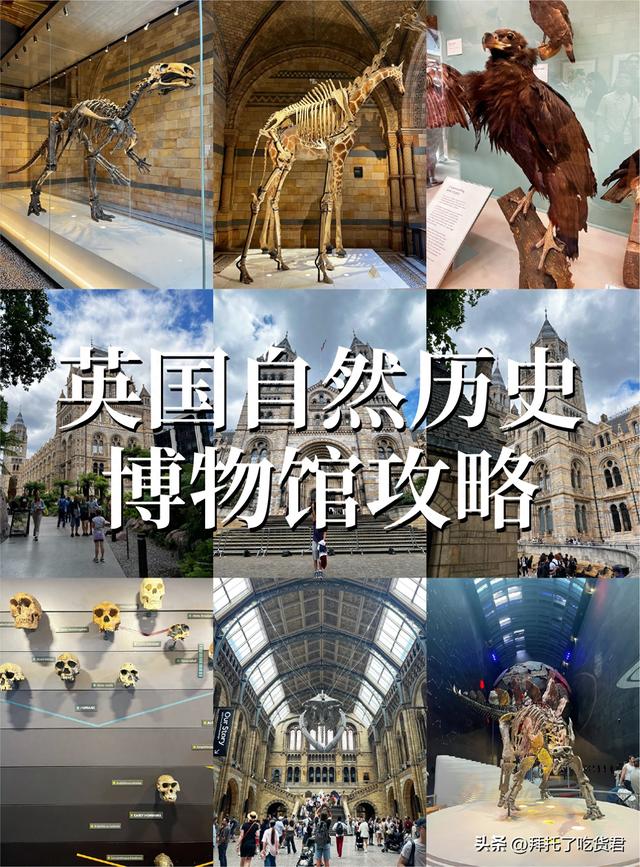 英国自然历史博物馆：一场穿越时空的旅程