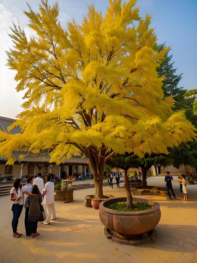 《金陵一对. 联连中国》上联: 潭柘气吞太行脉飘幽州；