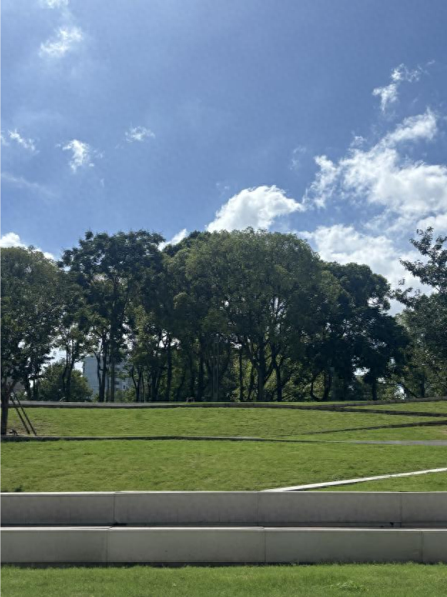 C·PARK地下音乐公园：构筑当代中国青年的先锋巢穴