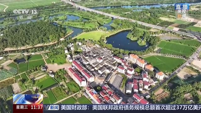 活力中国调研行丨“垃圾村”→网红打卡湿地 一个村落的“绿色升级”