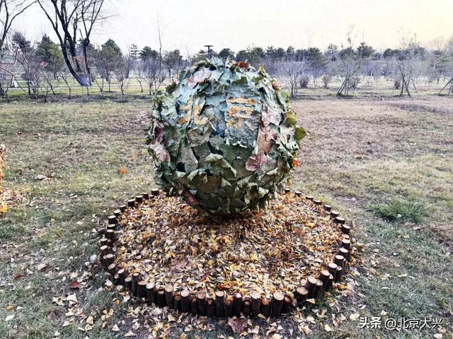 来公园，遇见「落叶重生」之美！