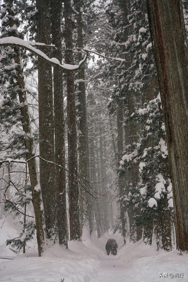 说起冬季日本看雪，难道只有北海道吗？