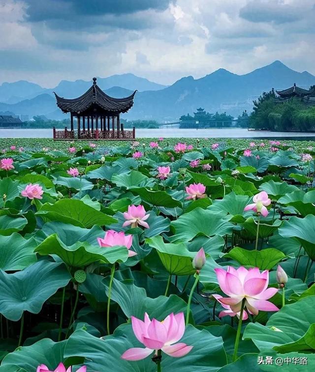 北京戒台寺2500人都没有对出的最难对联，高手你来看看