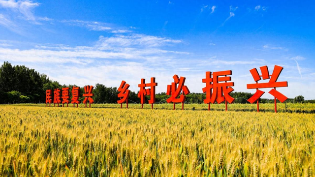 “天民田园杯”“南蔡六景”正式发布！
