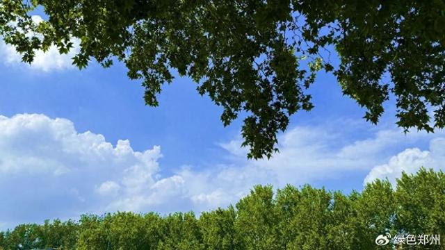 郑州“天空之城”治愈美景来啦