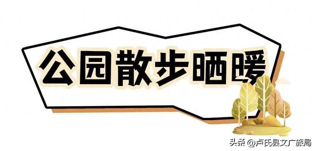 【文旅医养】封神！冬天去卢氏，就按这个节奏玩！