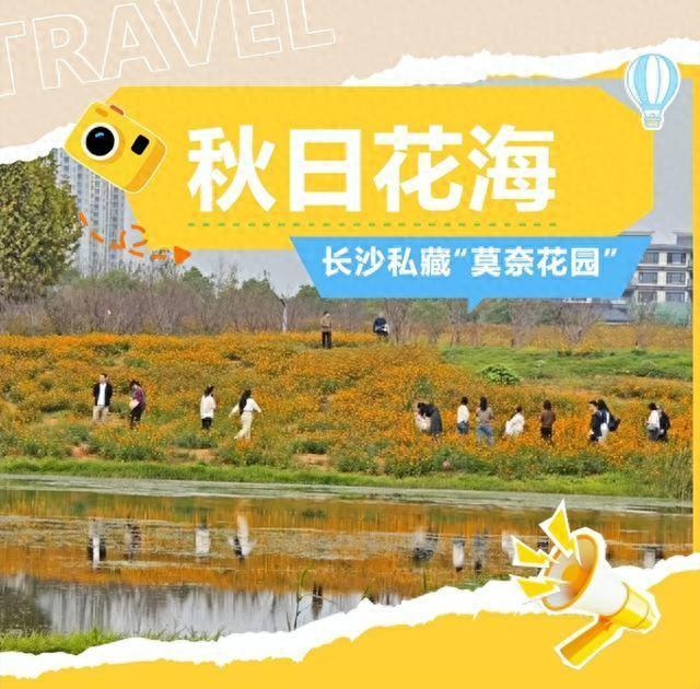 秋日限定！长沙这片300亩“油画花海”美到窒息，人少免票超出片