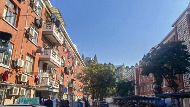 读史老张：家住复旦八舍