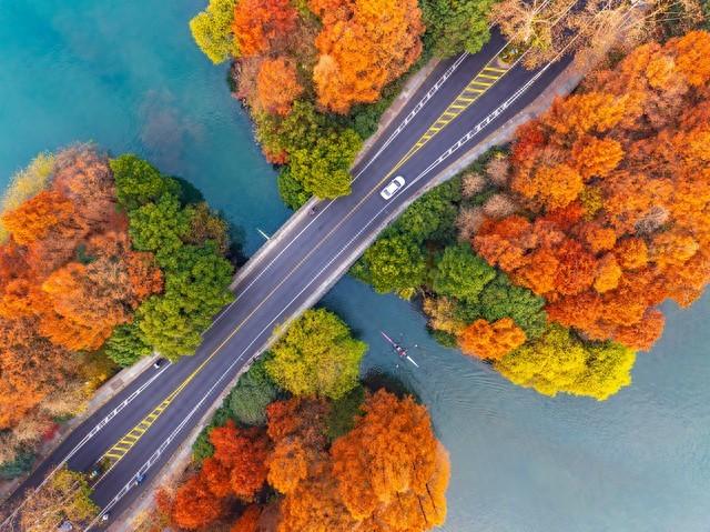 杭州人私藏的红叶地图曝光！这5个地方藏着江南最极致留恋的秋！